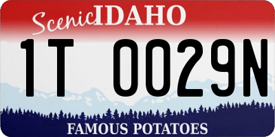 ID license plate 1T0029N