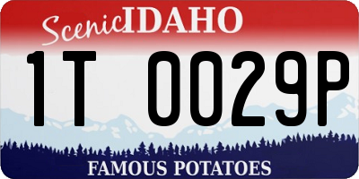 ID license plate 1T0029P