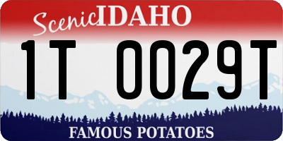ID license plate 1T0029T