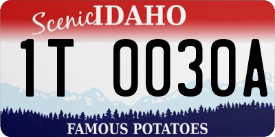 ID license plate 1T0030A