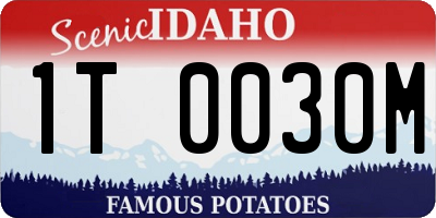 ID license plate 1T0030M