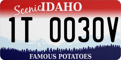 ID license plate 1T0030V