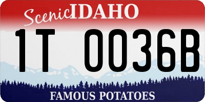 ID license plate 1T0036B