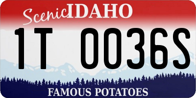 ID license plate 1T0036S