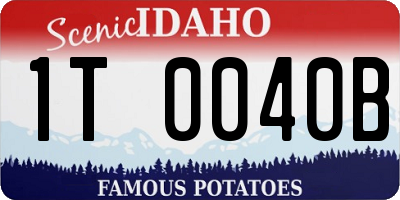 ID license plate 1T0040B