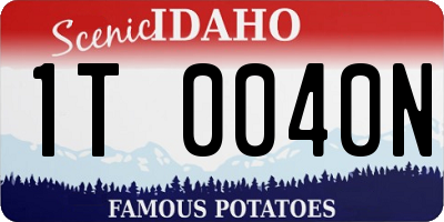 ID license plate 1T0040N