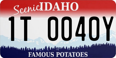 ID license plate 1T0040Y