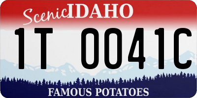 ID license plate 1T0041C