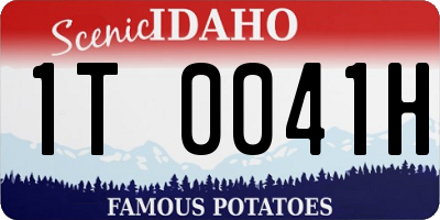 ID license plate 1T0041H