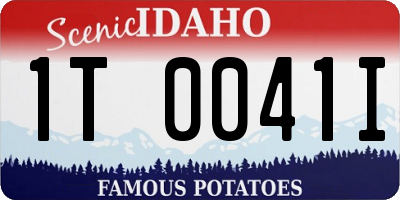 ID license plate 1T0041I