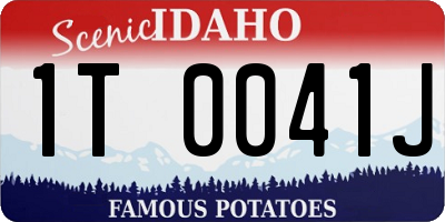ID license plate 1T0041J
