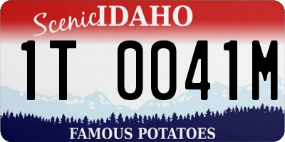 ID license plate 1T0041M