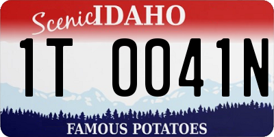 ID license plate 1T0041N