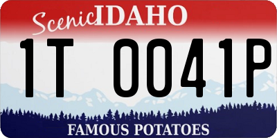 ID license plate 1T0041P
