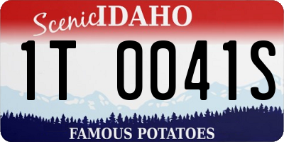 ID license plate 1T0041S