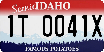 ID license plate 1T0041X