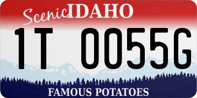 ID license plate 1T0055G
