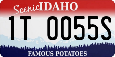 ID license plate 1T0055S