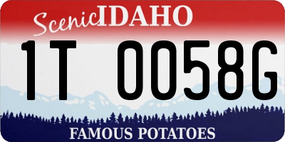 ID license plate 1T0058G