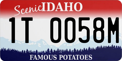 ID license plate 1T0058M