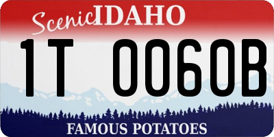 ID license plate 1T0060B