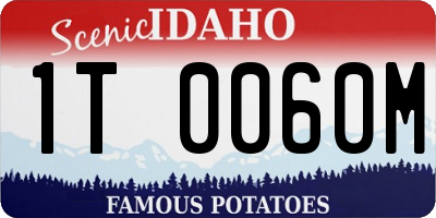 ID license plate 1T0060M