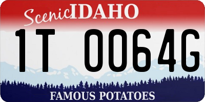 ID license plate 1T0064G