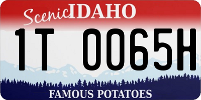 ID license plate 1T0065H