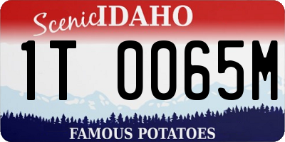 ID license plate 1T0065M