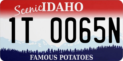 ID license plate 1T0065N