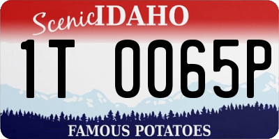 ID license plate 1T0065P