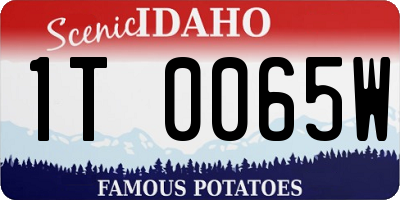 ID license plate 1T0065W