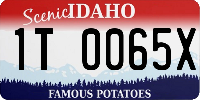 ID license plate 1T0065X