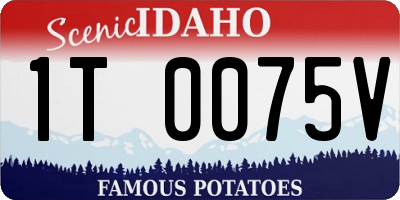 ID license plate 1T0075V