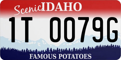 ID license plate 1T0079G