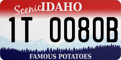 ID license plate 1T0080B
