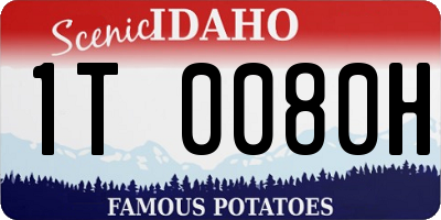 ID license plate 1T0080H