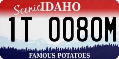ID license plate 1T0080M
