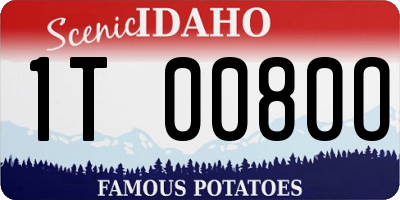 ID license plate 1T0080O