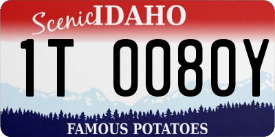 ID license plate 1T0080Y