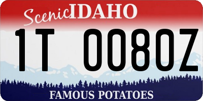 ID license plate 1T0080Z