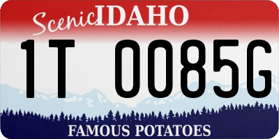 ID license plate 1T0085G