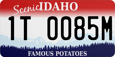ID license plate 1T0085M
