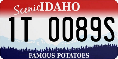 ID license plate 1T0089S