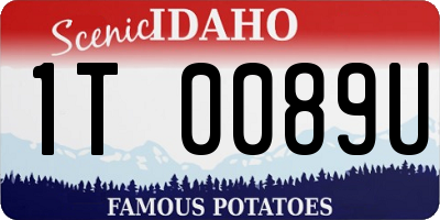 ID license plate 1T0089U