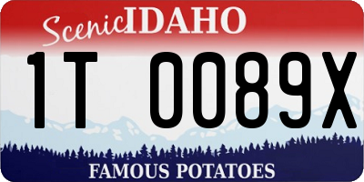 ID license plate 1T0089X