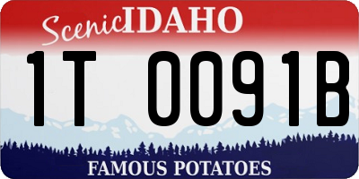 ID license plate 1T0091B