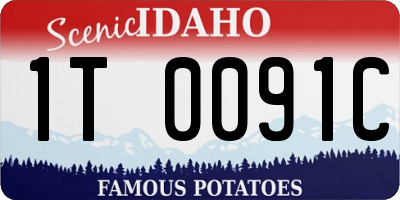 ID license plate 1T0091C