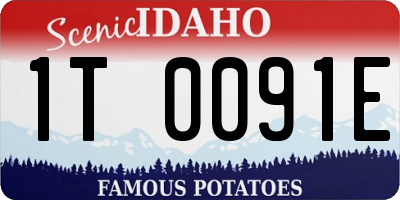 ID license plate 1T0091E