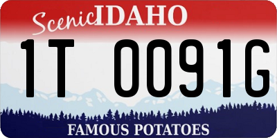 ID license plate 1T0091G